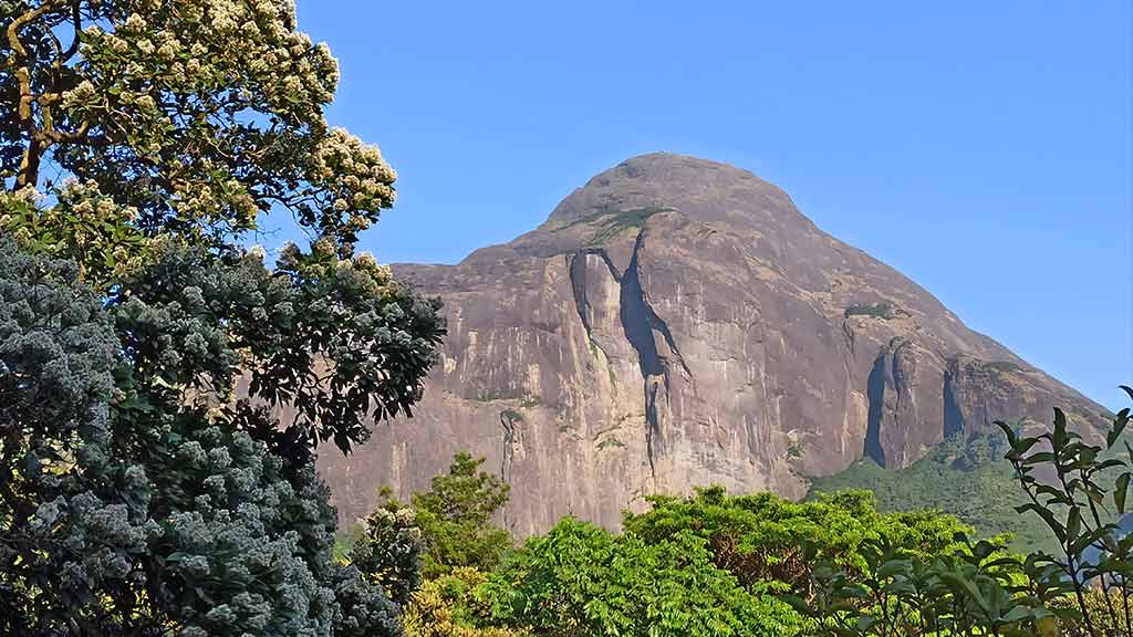 Agasthyakoodam Trek: Conquer the Sacred Peak of Kerala’s Western Ghats