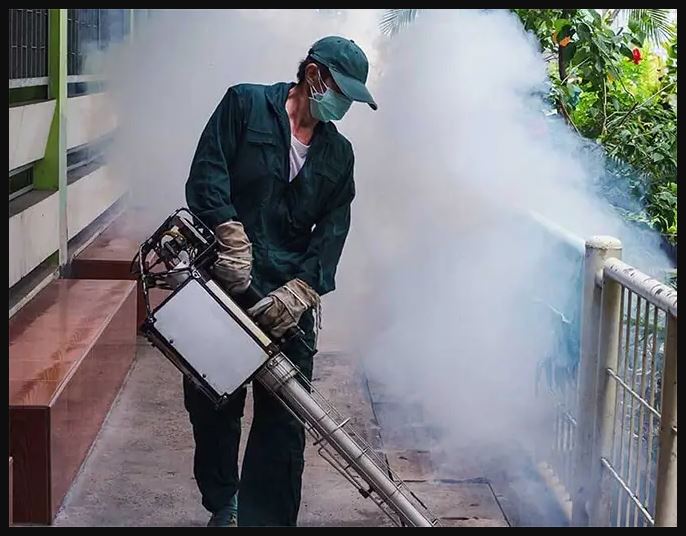 Effective Bed Bug Treatment Solutions: Eliminate Infestation with System Pest Control