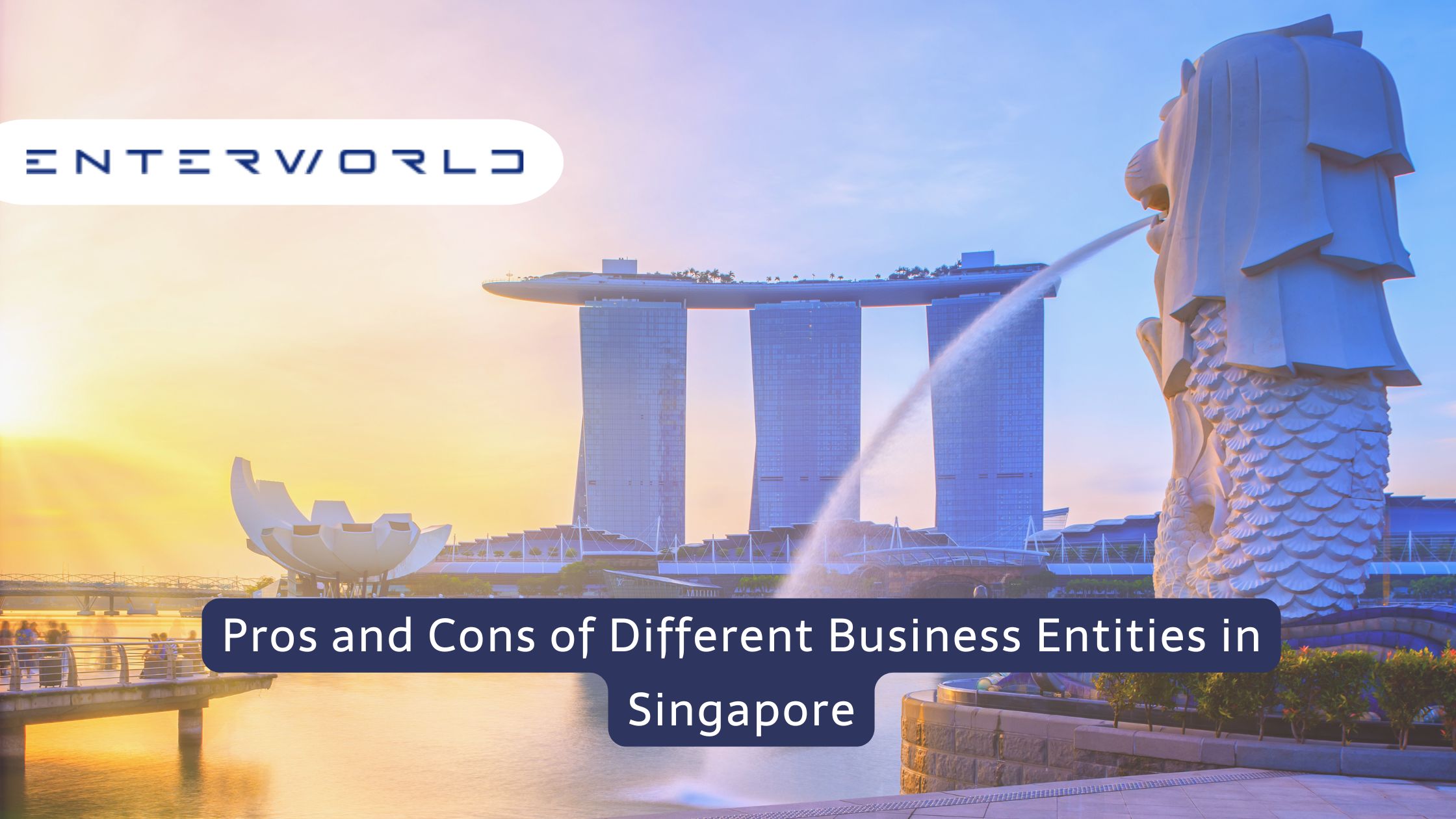 Pros and Cons of Different Business Entities in Singapore