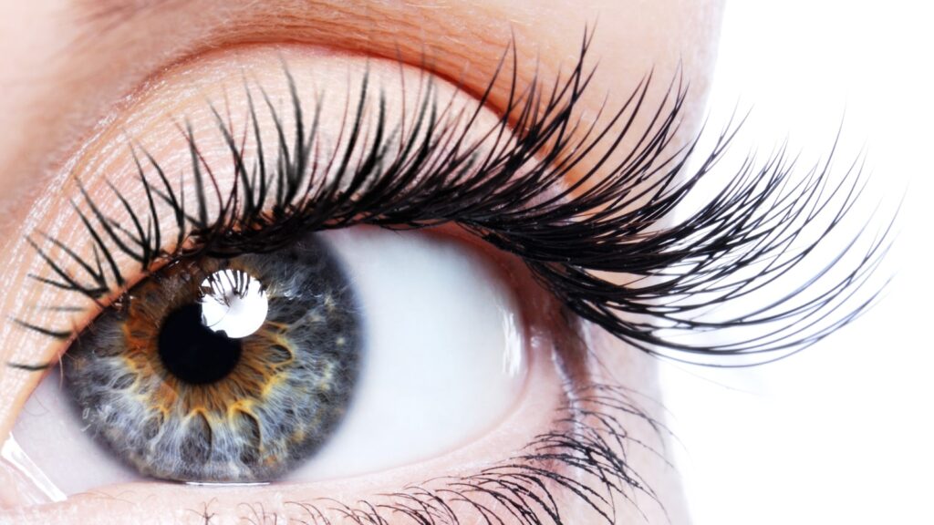 Step-by-Step What to Expect During an Eyelash Hair Transplant