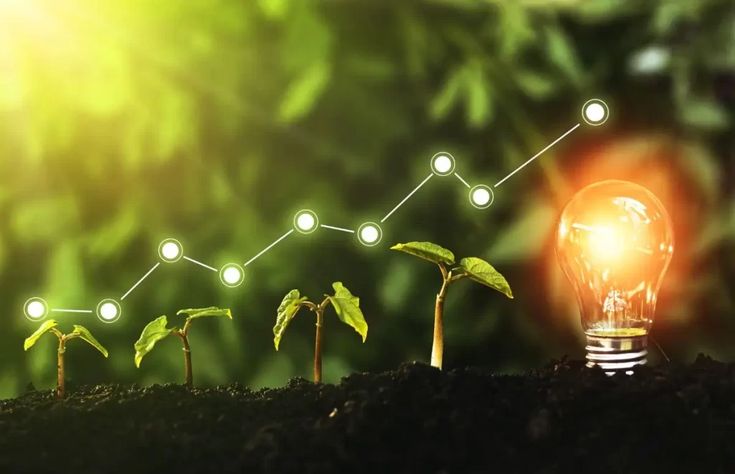 Harvest Deals: Unlock Exclusive Offers on the Leading Agriculture E-Commerce Platform