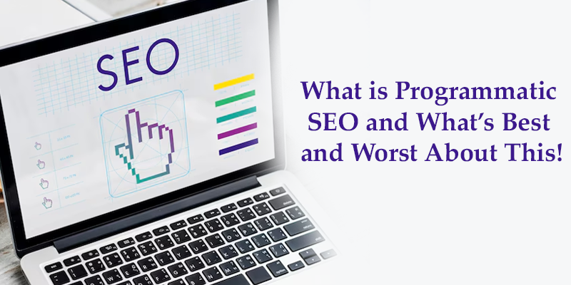 What is Programmatic SEO and What’s Best and Worst About This!