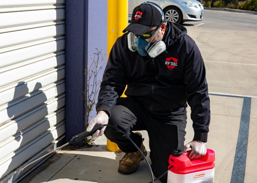Effective Termite Control in Melbourne: Protect Your Property Before It’s Too Late
