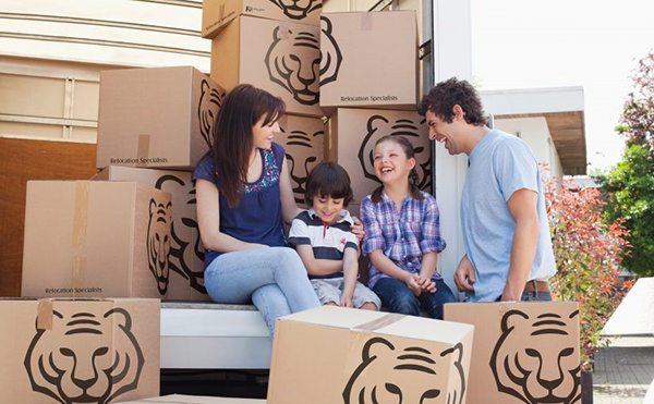 Why You Should Hire a Trusted International Moving Company