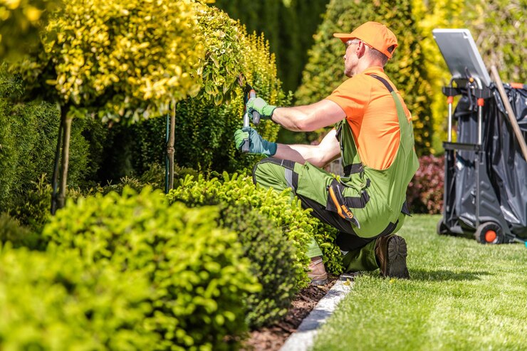 Essential Garden Maintenance Tips for Every Season