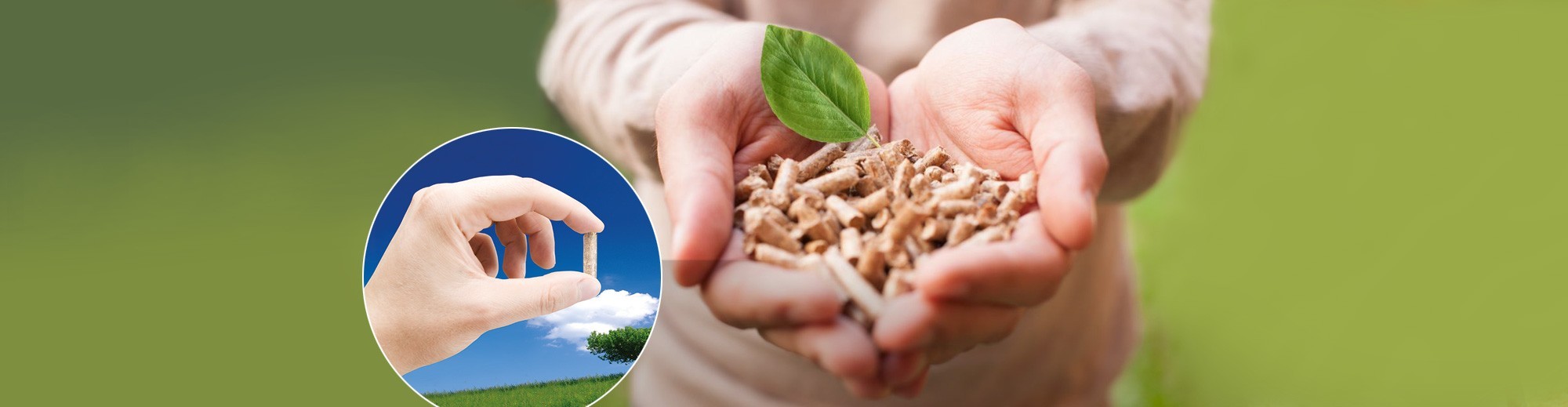 Wie wählt man die beste Qualität von Ofenpellets?