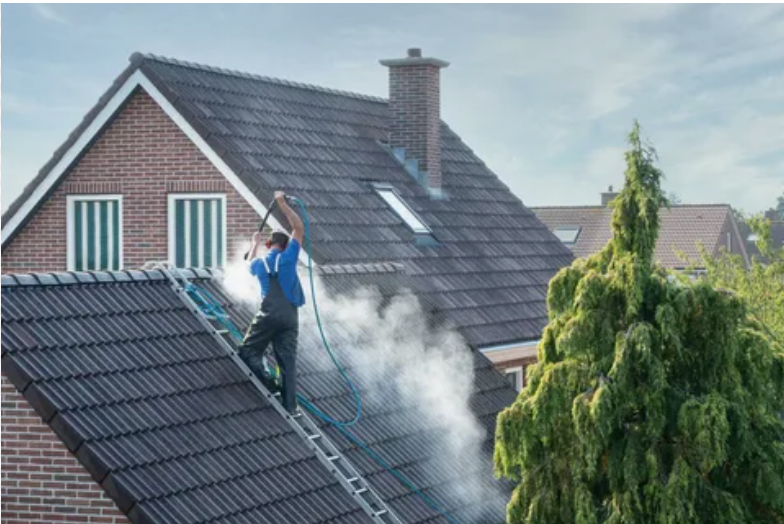 Residential Power Washing Services | Top Dawg Power Washing