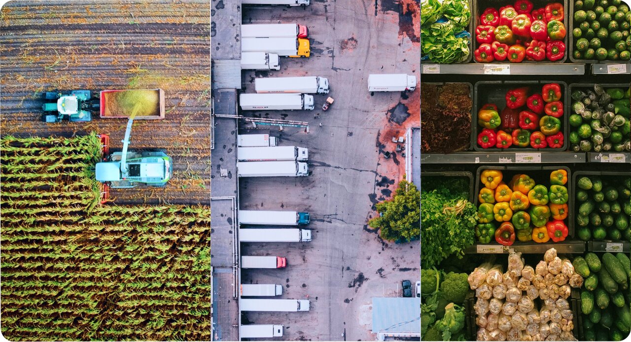 The Benefits of Partnering with Leading Food Distributors Wholesale like 123 Trade Global