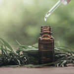 Die besten CBD Produkte 2025 – Unsere Empfehlungen von CBD-Hexe