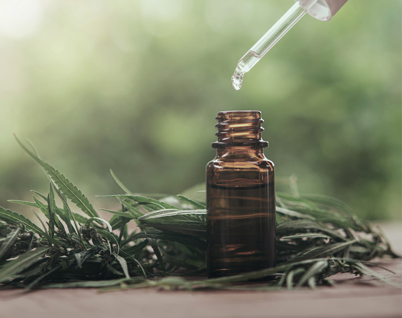 Die besten CBD Produkte 2025 – Unsere Empfehlungen von CBD-Hexe