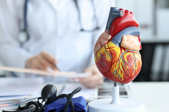 4 Types of Heart Disease: What They Are and Why They Matter