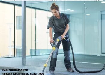 10 Reasons Why Carpet Cleaning is Essential for Your Health