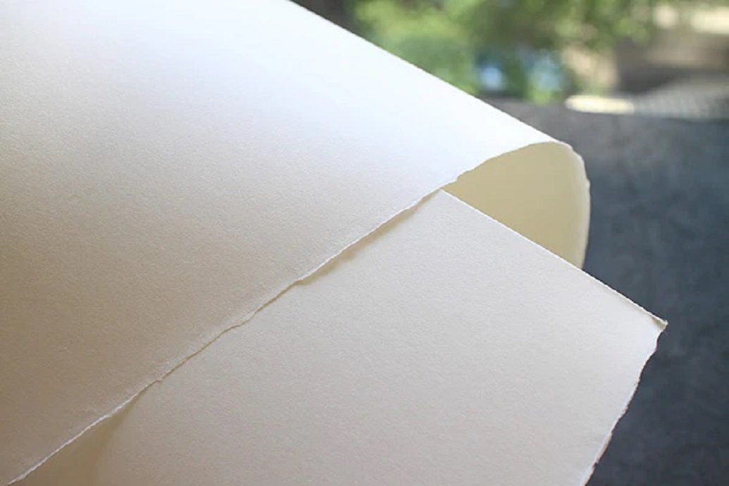 Bamboo Paper Manufacturing Plant Report 2025: Project Cost, Raw Materials Requirement and Unit Setup