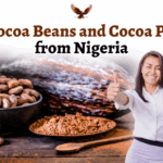 Best Cocoa Beans and Cocoa Powder from Nigeria