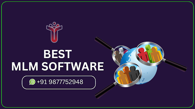 Leading MLM Software Development Company in Punjab for Custom Solutions