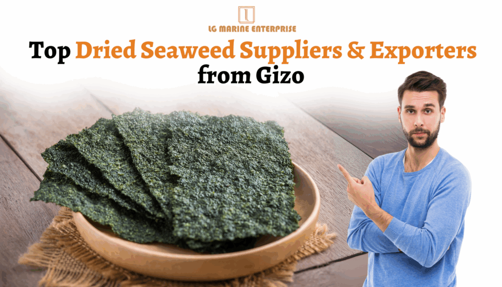 Top Dried Seaweed Suppliers & Exporters from Gizo