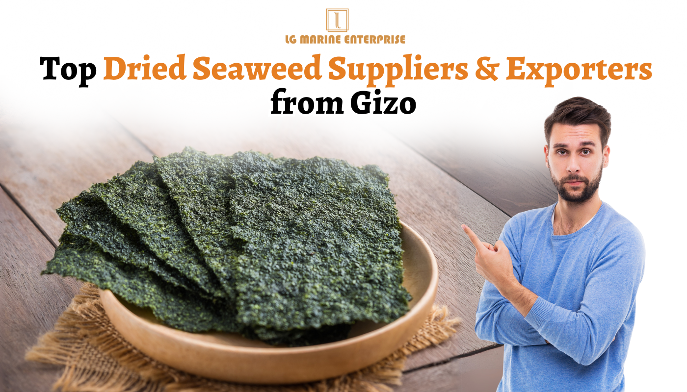 Top Dried Seaweed Suppliers & Exporters from Gizo