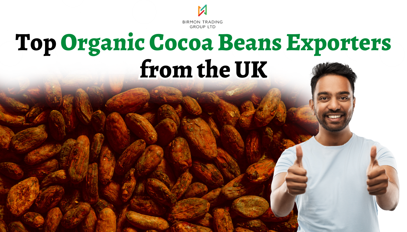 Top Organic Cocoa Beans Exporters from the UK