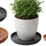 How Can You Stop Patio Water Stains from Potted Plants?