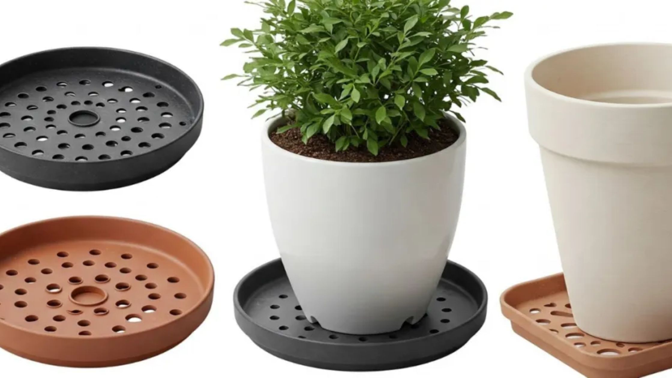 How Can You Stop Patio Water Stains from Potted Plants?