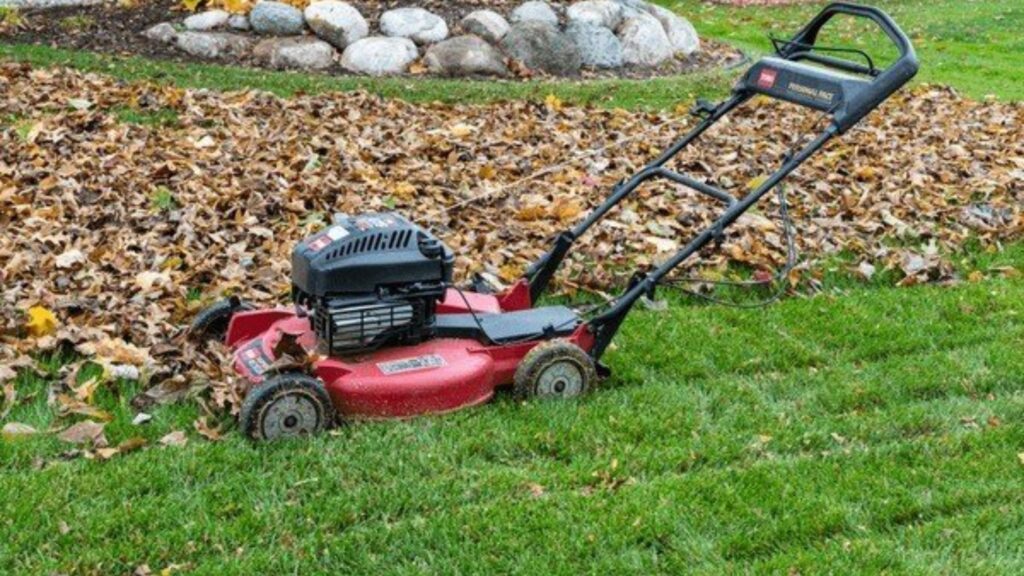 Why Hiring a Professional Pruning Service Can Save You Time