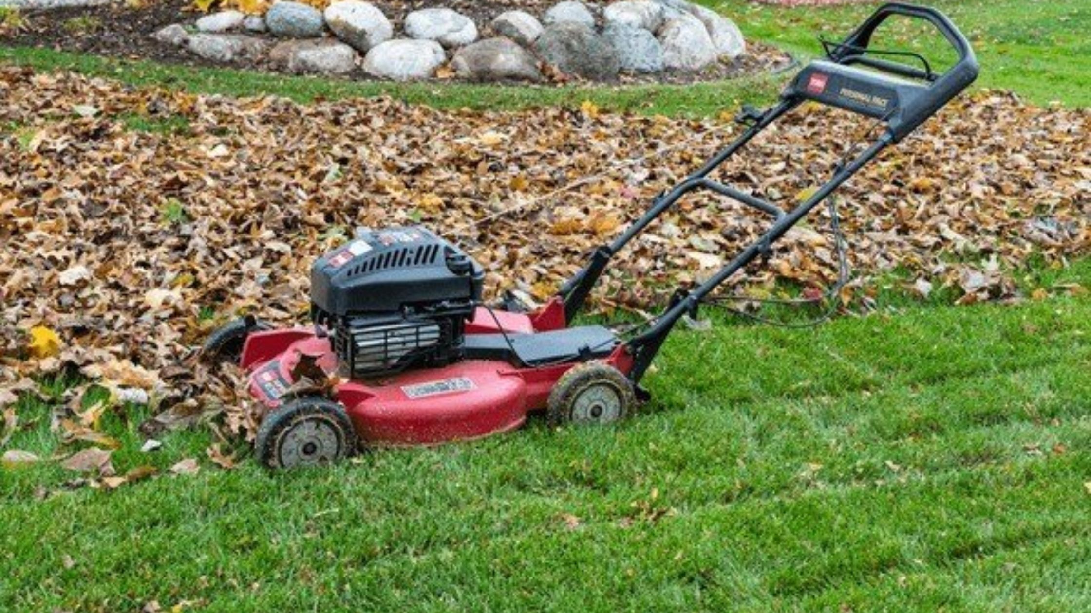 Why Hiring a Professional Pruning Service Can Save You Time