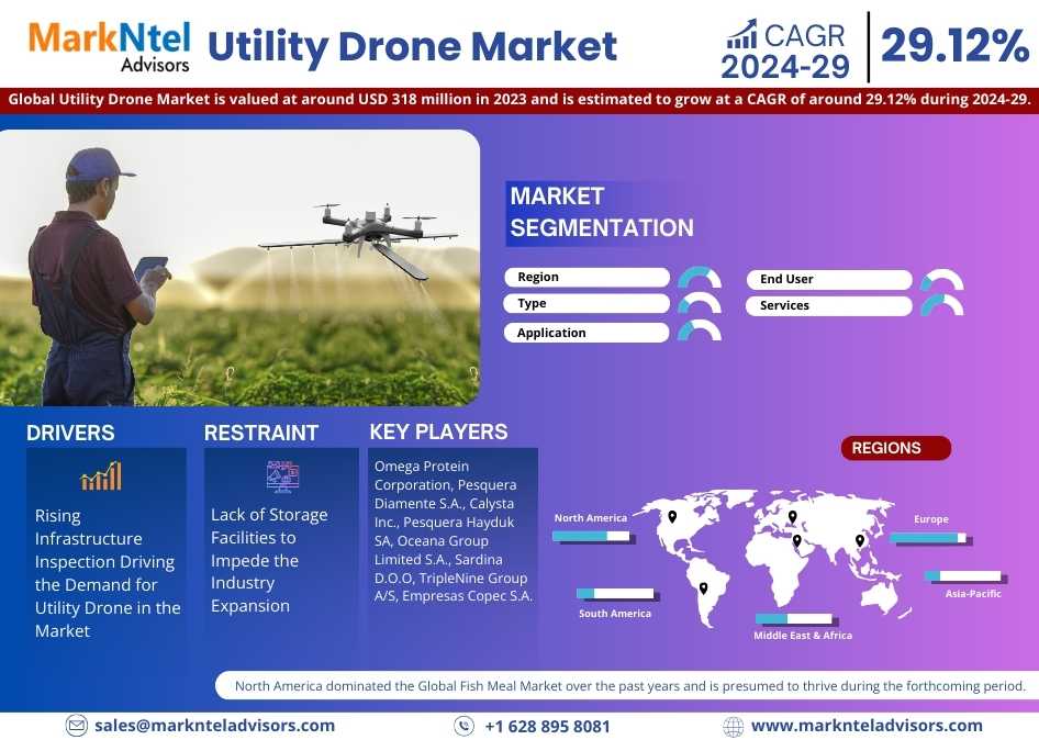 Utility Drone Industry Growth Trends and Competitive Analysis 2029