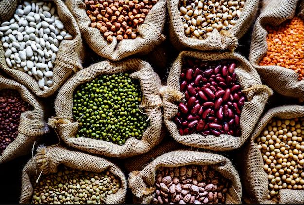Italy Vegetable Seeds Market Share, Trends, Growth & Demand Forecast 2025-2033
