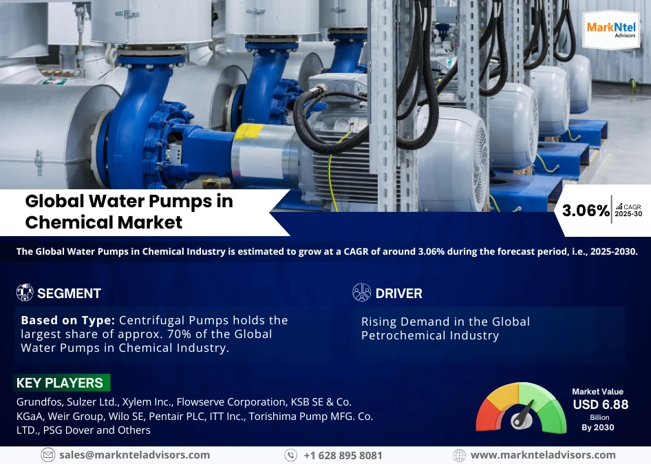 Water Pumps in Chemical Market Insights: Demand, Share, and Key Players 2030