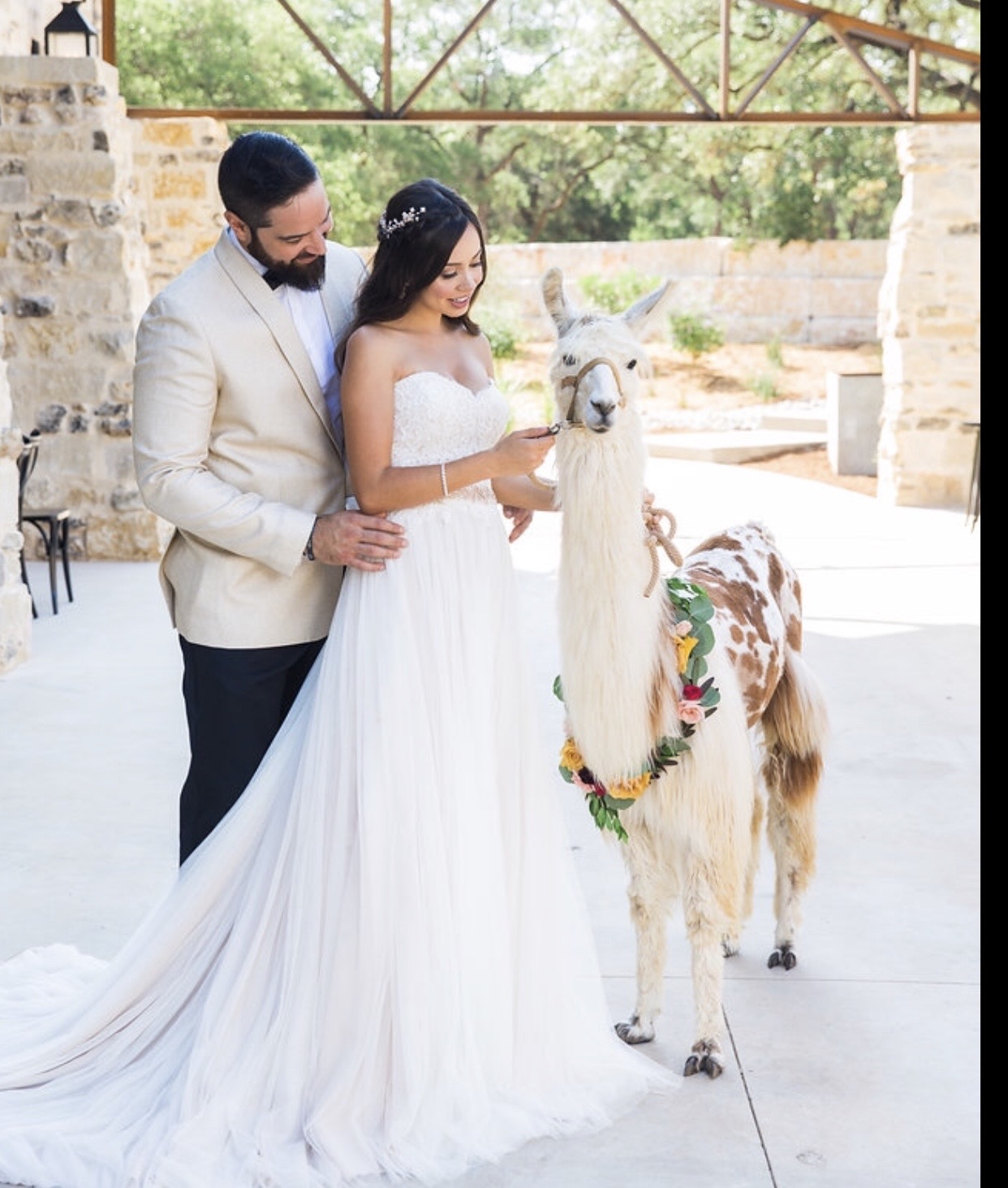 A Personalized Llama Farm Experience from Start to Finish