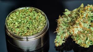 Exploring Weed Delivery in Guelph: A Convenient Option for Cannabis Enthusiasts