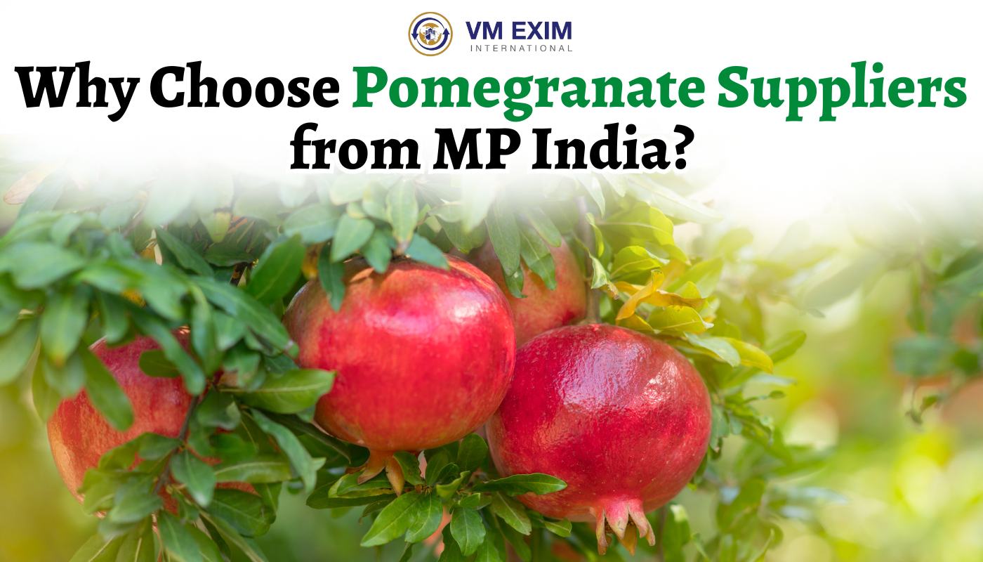 Why Choose Pomegranate Suppliers from MP India?