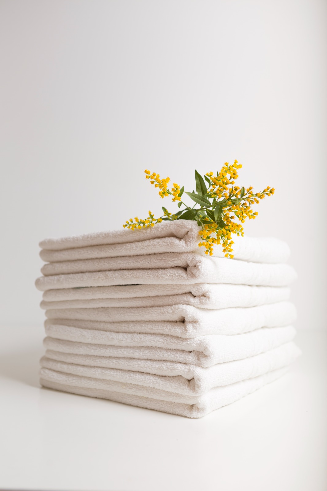 Linen Hire Services in Sheffield: The Key to Hassle-Free Hospitality