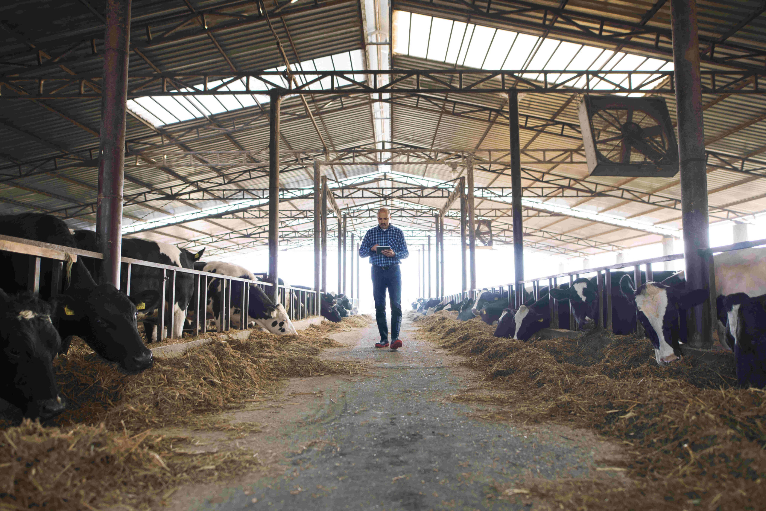 Hangar agricole sur mesure – Stockage fiable pour matériel et récoltes