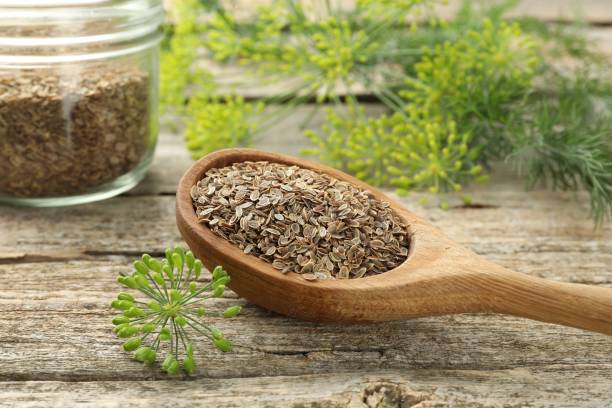 Discover the Amazing Uses of Dill Seeds