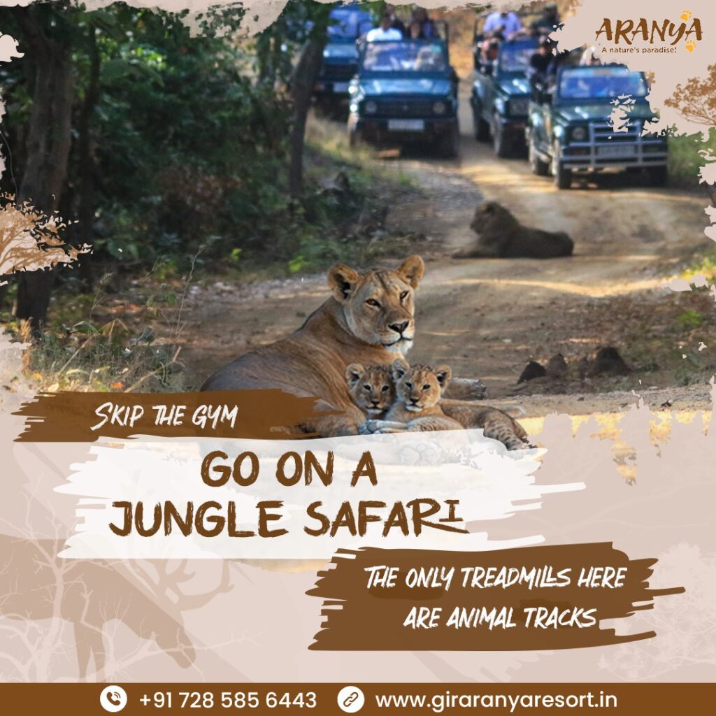 Hidden Gems Around Sasan Gir You Must Explore
