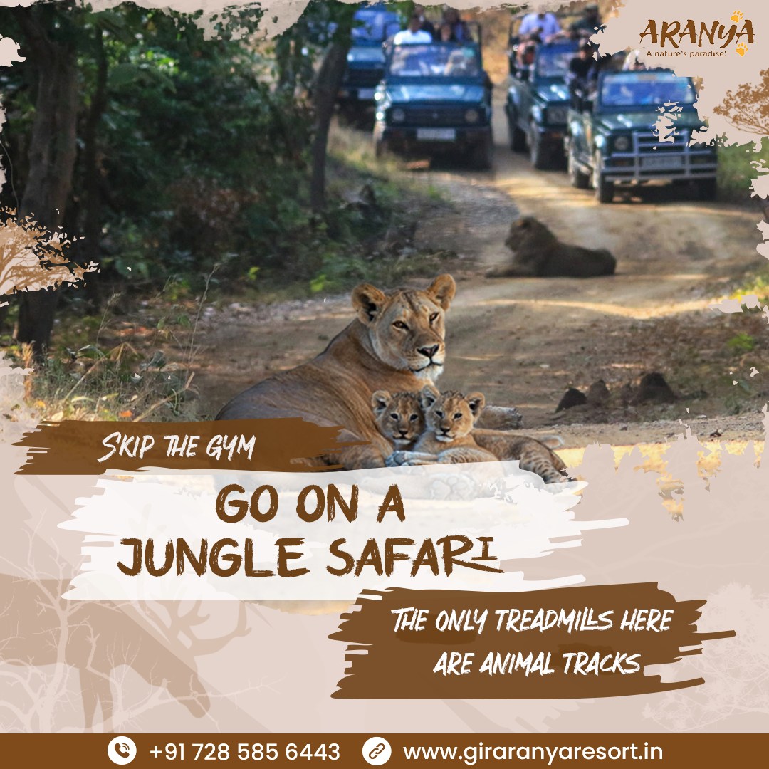 Hidden Gems Around Sasan Gir You Must Explore