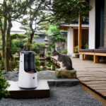 How a Humidifier and Dehumidifier for Greenhouses Boost Growth