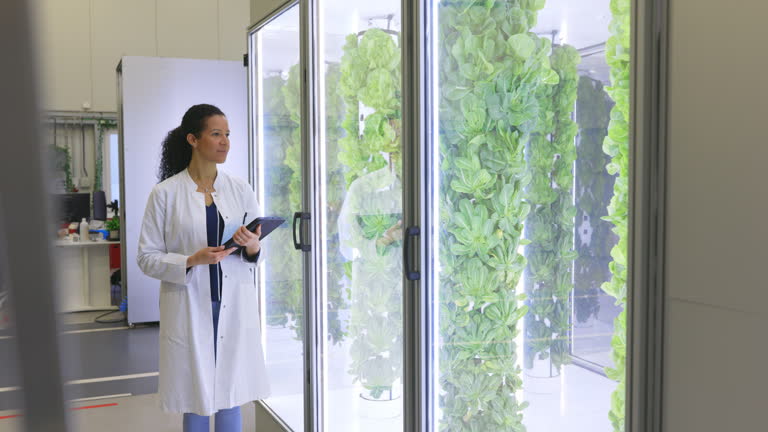 Aeroponic Tower Gardening: The Future of Home Gardening with Hydroponic and Aeroponic Systems
